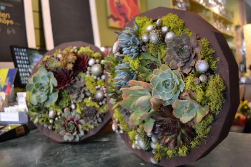 Живая стена в интерьере. Вертикальное озеленение и другие варианты создания зелёных зон в квартире