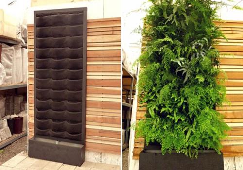 Живая стена своими руками. Вертикальные клумбы