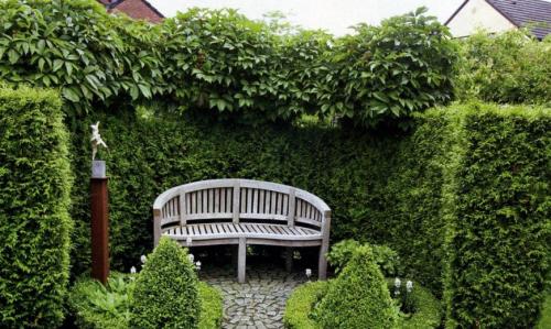 Вертикальное озеленение на улице. Вертикальное озеленение сада