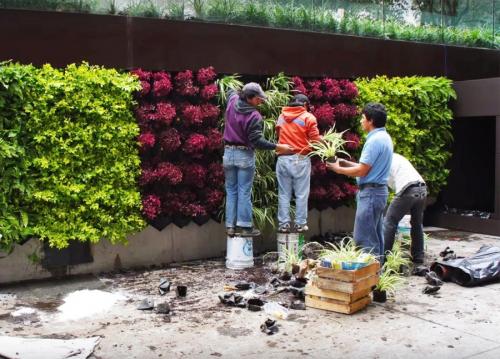 Вертикальное озеленение в ландшафтном дизайне. Вертикальное озеленение —, какие растения и цветы подобрать для оформления участка своими руками (115 фото)