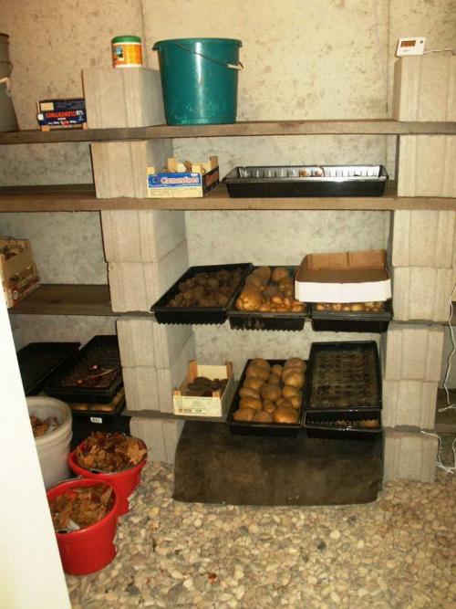 Чертежи погреба. Погреб на даче своими руками — разновидности погребов, подробная инструкция по строительству с простыми чертежами, советы по обустройству