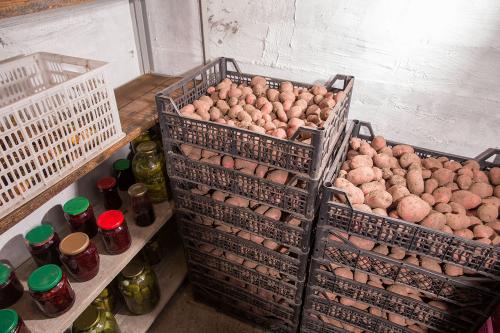 Какой погреб лучше выбрать в 2023 году. Что нужно знать о современных погребах