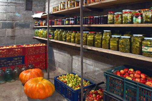 Какой погреб лучше выбрать в 2023 году. Что нужно знать о современных погребах