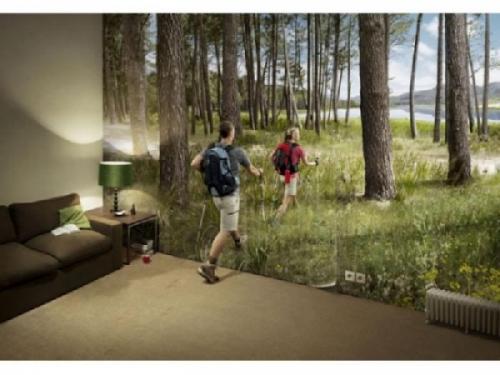 Живые обои на стену в квартире. Преимущества цветущих обоев 01