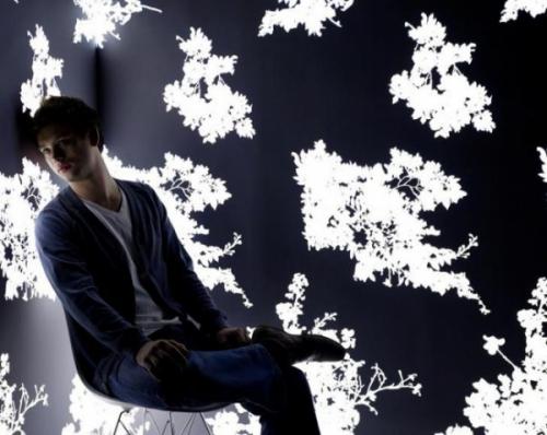 Живые обои на стену в квартире. Преимущества цветущих обоев 05