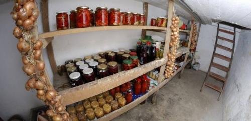 Погреб своими руками в гараже. А нужно ли? О чем стоит подумать перед строительством подвального помещения