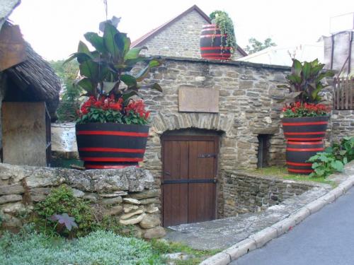 Что можно сделать в подвале частного дома. Подвал в частном доме — пошаговая инструкция, как обустроить цокольный этаж своими руками (75 фото)