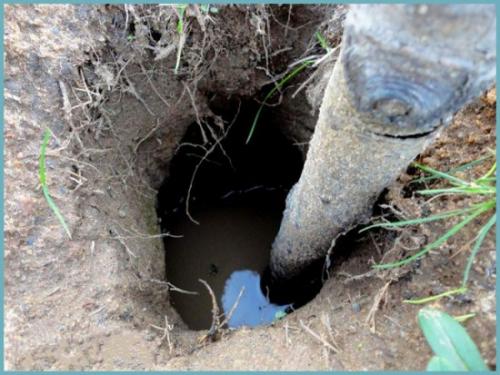 Как построить погреб на улице. Измеряем уровень грунтовых вод