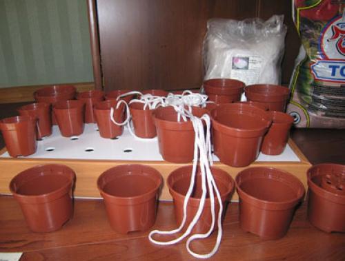 Лайфхак, как поливать цветы в отпуске. Садовник в отпуске... Как обеспечить полив комнатных растений в ваше отсутствие