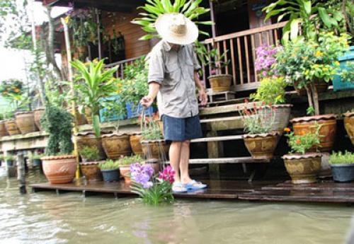 Лайфхак, как поливать цветы в отпуске. Садовник в отпуске... Как обеспечить полив комнатных растений в ваше отсутствие