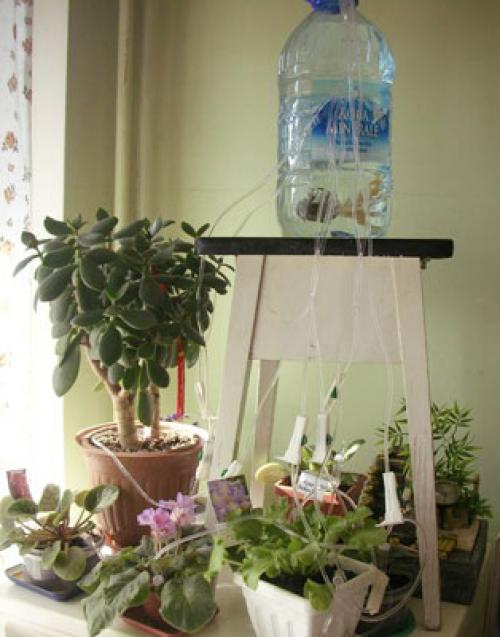 Лайфхак, как поливать цветы в отпуске. Садовник в отпуске... Как обеспечить полив комнатных растений в ваше отсутствие