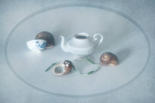 Не только для цветов. 