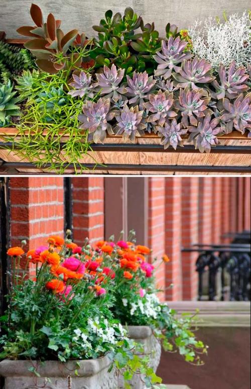 Как украсить подоконник с улицы. Цветы за окном: как украсить дом снаружи