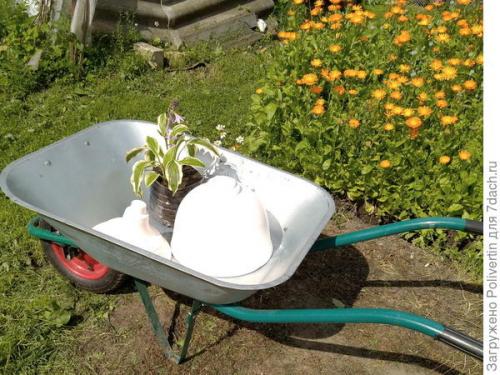 Как сделать кашпо из гипса давид. Вазон из гипса своими руками