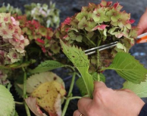 Как можно создать осеннюю композицию из натуральных материалов для украшения сада или террасы. Осенние композиции