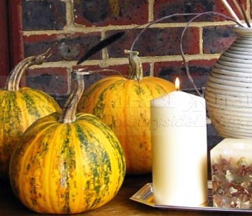 Как можно создать осеннюю композицию из натуральных материалов для украшения сада или террасы. Осенние композиции