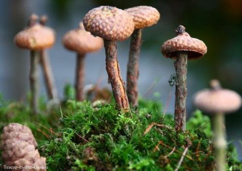 Какие осенние поделки из природных материалов можно сделать в домашних условиях. Как сделать поделки из природных материалов быстро и красиво