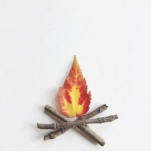 Какие осенние поделки из природных материалов можно сделать в домашних условиях. Как сделать поделки из природных материалов быстро и красиво