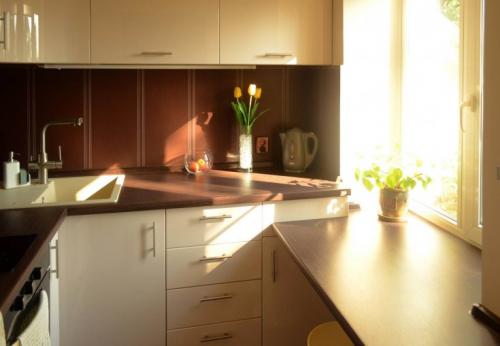 Декор подоконника на кухне. Подоконник на кухне: особенности использования, рекомендации по выбору. 115 фото функциональных подоконников в интерьере кухни