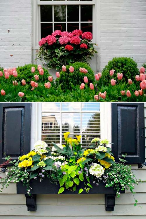 Как украсить подоконник с улицы. Цветы за окном: как украсить дом снаружи