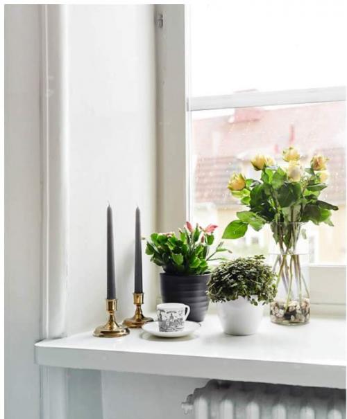 Что поставить на подоконник кроме цветов. Цветы