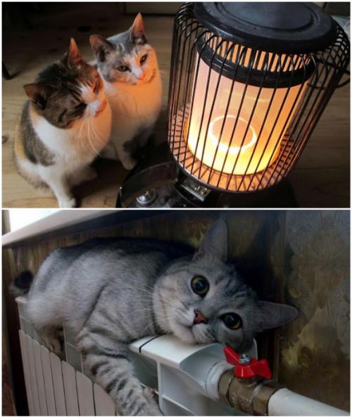 Какие японские элементы можно использовать для создания функционального пространства в маленькой квартире.  Отсутствие центрального отопления