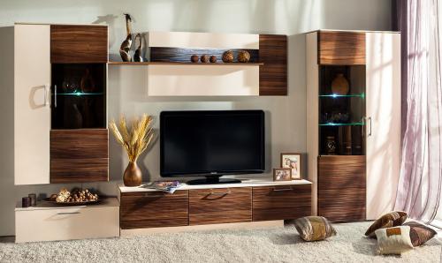 Что такое корпусная мебель. Корпусная мебель: материалы исполнения, виды и преимущества