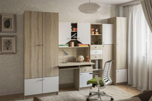 Что такое корпусная мебель. Корпусная мебель: материалы исполнения, виды и преимущества