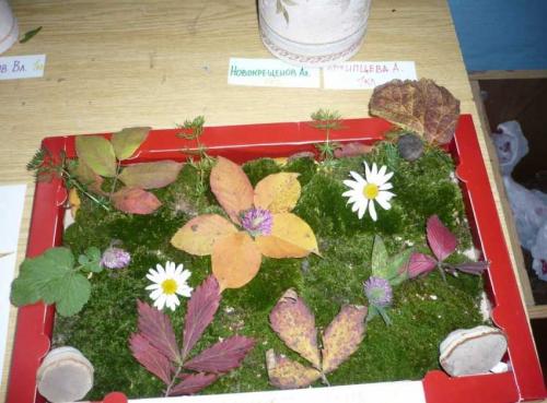 Как выбрать поделки для детей в школе. Поделки в школу – изготовление простых и стильных изделий для детей школьного возраста (120 фото)