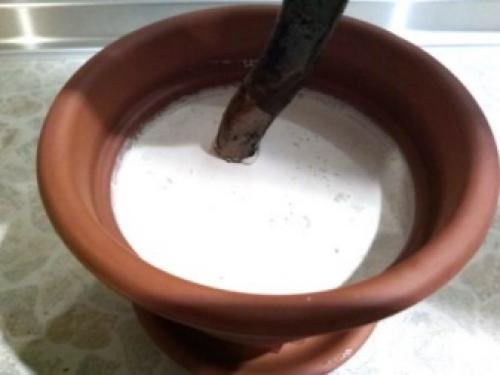 В каких пропорциях разбавить гипс для заливки форм. Густая заливка в горшке 04