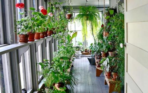 Клумбы своими руками: простые способы для начинающих 11 Клумбы своими руками: простые способы для начинающих 11