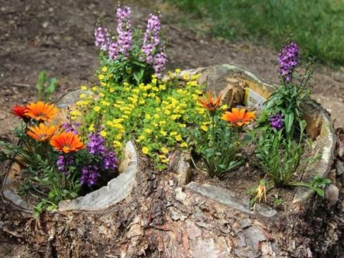 Как подготовить почву для клумбы. Цветник — яркое украшение сада