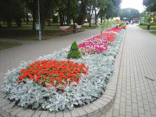 Что такое клумбы и цветники. Клумбы и цветники - в чем разница