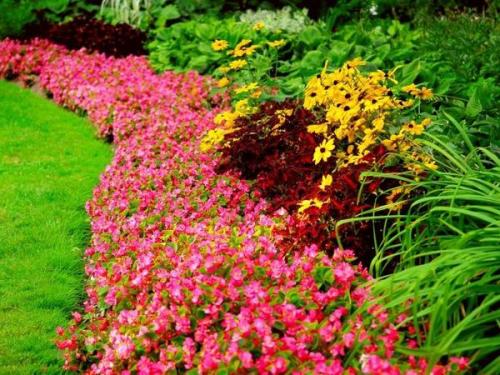 Что такое клумбы и цветники. Клумбы и цветники - в чем разница