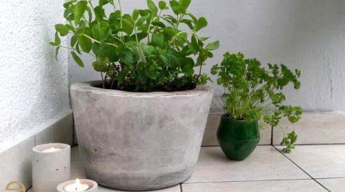 Вазоны из цемента и пластиковых бутылок. Горшки для цветов из цемента и ткани (тряпки) своими руками, фото