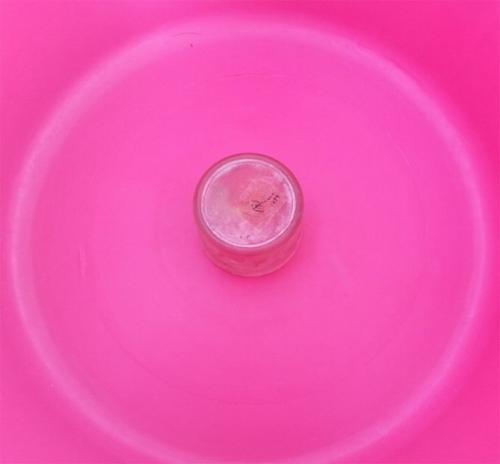 Вазоны из цемента и пластиковых бутылок. Горшки для цветов из цемента и ткани (тряпки) своими руками, фото