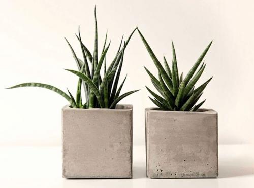 Вазоны из цемента и пластиковых бутылок. Горшки для цветов из цемента и ткани (тряпки) своими руками, фото