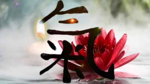 Зеркало и деньги по фен-шуй. Зона богатства по Фен Шуй