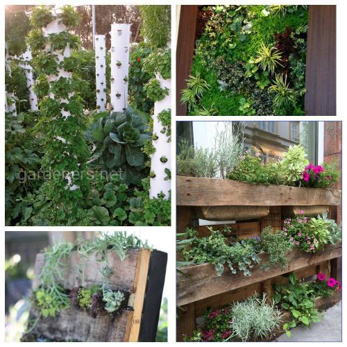 Как обеспечить правильное уходовые условия для растений в вертикальной клумбе. Растения для вертикального сада