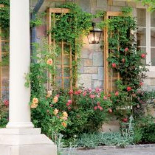 Какие материалы можно использовать для создания вертикальных клумб. Выращивание растений на опорах и у стен