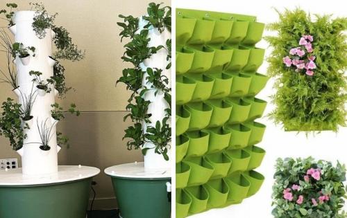 Как обеспечить достаточное количество света для растений в вертикальной клумбе. Преимущества вертикального садоводства в теплицах