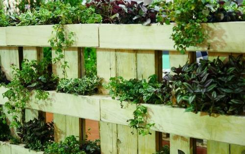 Как обеспечить достаточное количество света для растений в вертикальной клумбе. Преимущества вертикального садоводства в теплицах