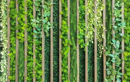 Как обеспечить достаточное количество света для растений в вертикальной клумбе. Преимущества вертикального садоводства в теплицах