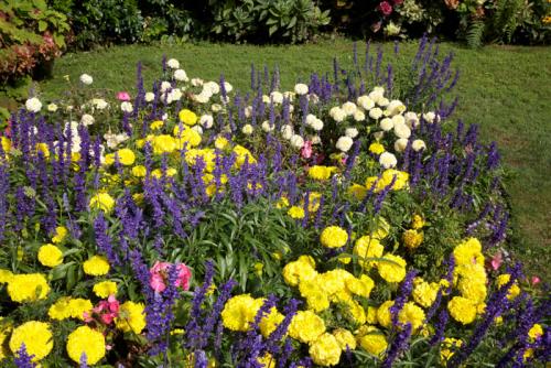 Создание клумбы своими руками: подбор цветов и дизайн 01