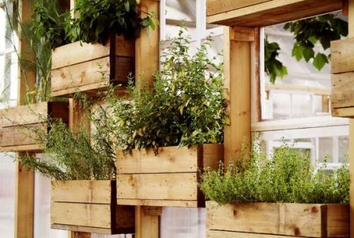 Цветы на пластиковом окне. Ящики для выращивания цветов за окном