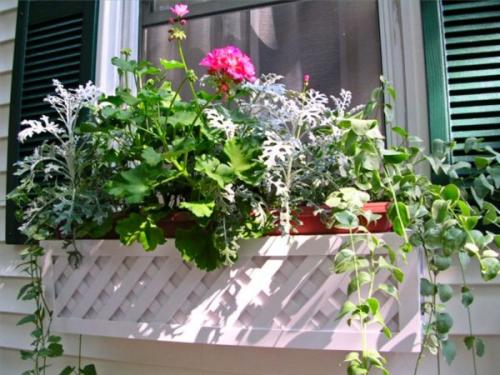 Цветы на пластиковом окне. Ящики для выращивания цветов за окном