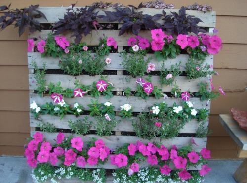 Как создать вертикальную клумбу из подручных материалов. Как сделать вертикальную клумбу самому