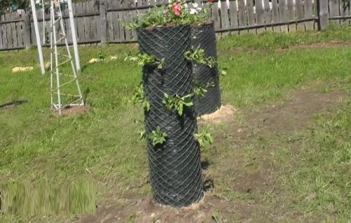 Как создать вертикальную клумбу из подручных материалов. Как сделать вертикальную клумбу самому