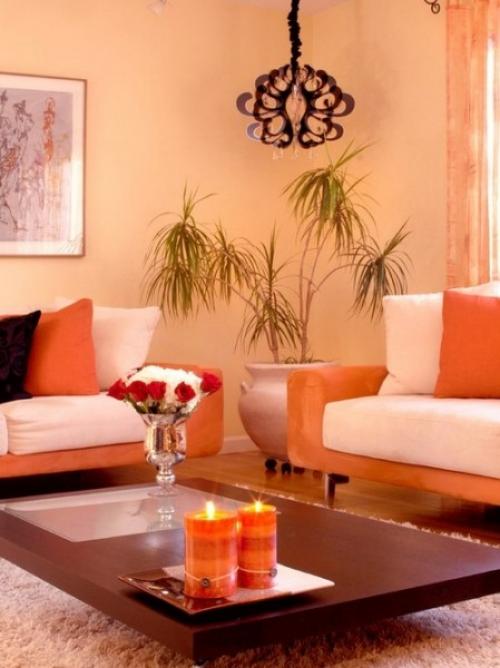 Цвет абрикоса и его сочетания. Абрикосовый цвет: бархатистая спелость интерьера 01