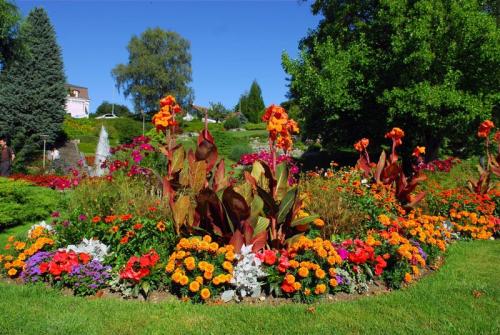 Какие декоративные элементы можно использовать для украшения бюджетной клумбы. Как выбрать идею для клумбы своими руками: фото дизайнов